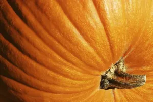 Nature Food Images Drucke: Pumpkin