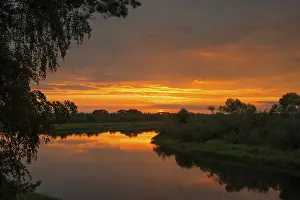Drucke von Die Natur von Weißrussland - ein ruhiges Sommerlandschaft an den Ufern der Berezina Weißrussland Drucke: Die Natur von Weißrussland - ein ruhiges Sommerlandschaft an den Ufern der Berezina.