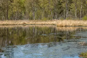 Nature Conservation Germany Drucke: Nature conservation and FFH area