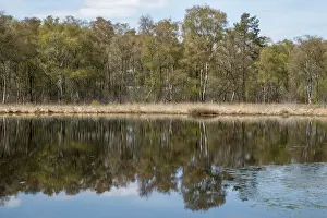 Nature Conservation Germany Drucke: Nature conservation and FFH area
