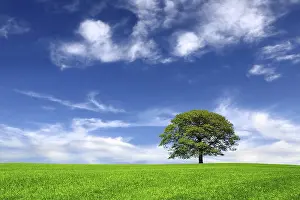 Deserted Countryside View Drucke: Nature on sky background