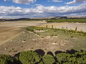 Deserted Gravesite Drucke: Necropolis of