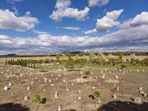 Ancient Burial Site Drucke: Necropolis of