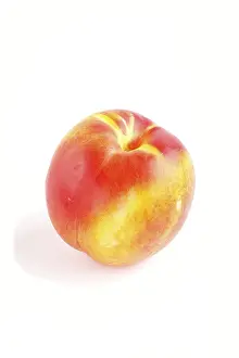 Stone Fruit Image Drucke: Nectarine isolated on white background