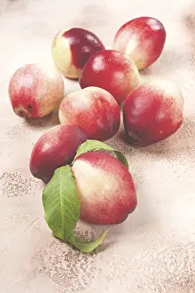 Stone Fruit Still Life Drucke: Nectarine scattered on the table
