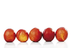 Fresh Nectarines Drucke: Nectarines