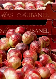 Deserted Market Scene Drucke: Nectarines