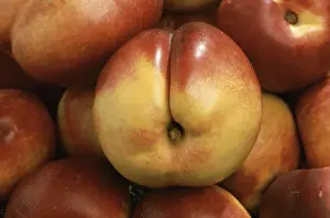 Deserted Fruit Photography Drucke: Nectarines, a mutation of the peach
