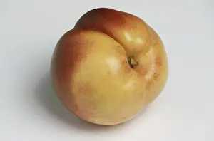 Stone Fruit Image Drucke: Nectarines, a mutation of the peach