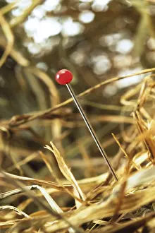 Indoor Studio Photography Drucke: Needle in a stack of hay