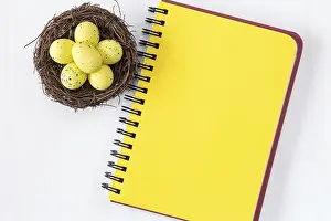 Coloured Easter Eggs Drucke: Nest with painted Easter Eggs and blank notebook for copy-space