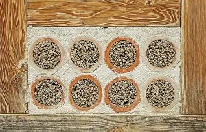 Environmental Protection For Bees Drucke: Nesting aid for wild bees