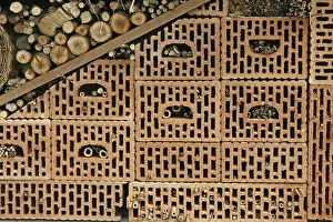 Environmental Protection For Wild Bees Drucke: Nesting aids for wild bees