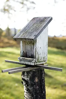 Wildlife Breeding Grounds Drucke: Nesting box