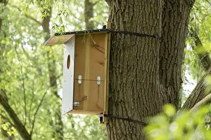 Environmental Protection Germany Drucke: Nesting box, tree, biosphere reserve
