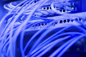 Network Cables Drucke: Network cables