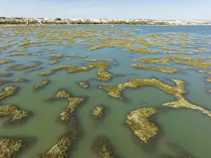 Bird Reserve Nature Reserve Spain Drucke: Network of channels and streams at low tide