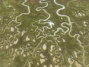 Spain Aerial Photography Drucke: Network of channels and streams at low tide