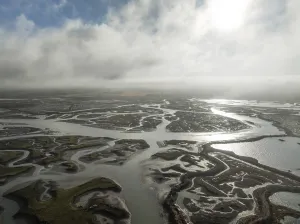 Low Tide Landscape Photography Drucke: Network of channels and streams at low tide