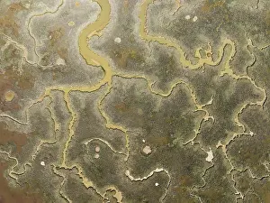 Wet Meadow Landscape Photography Drucke: Network of channels and streams at low tide