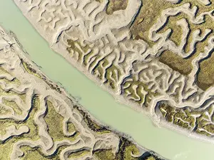 Bird Reserve Aerial Photography Drucke: Network of channels and streams at low tide
