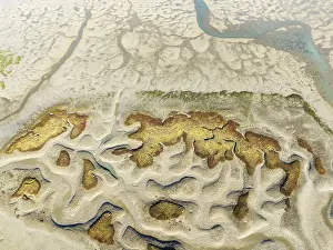 Network Of Channels And Streams Drucke: Network of channels and streams at low tide
