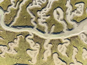 Bird Reserve Aerial Photography Drucke: Network of channels and streams at low tide
