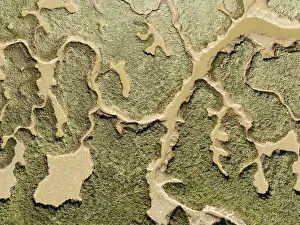 Bird Sanctuary Aerial Photography Drucke: Network of channels and streams at low tide