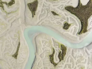 Bird Reserve Aerial Photography Drucke: Network of channels and streams at low tide