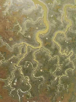 Spain Nature Reserve Images Drucke: Network of channels and streams at low tide