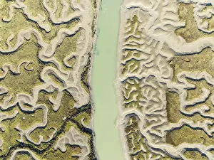 Marshland Landscape Photography Drucke: Network of channels and streams at low tide