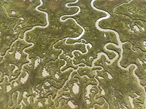 Bird Sanctuary Aerial Photography Drucke: Network of channels and streams at low tide