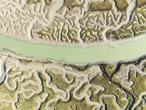 Bird Reserve Aerial Photography Drucke: Network of channels and streams at low tide
