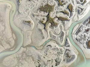 Network Of Channels And Streams Drucke: Network of channels and streams at low tide