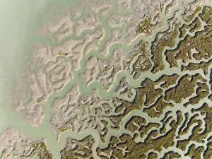 Bird Reserve Aerial Photography Drucke: Network of channels and streams at low tide