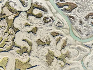 Bird Reserve Aerial Photography Drucke: Network of channels and streams at low tide