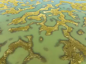 Wetland Biotope Aerial Photography Drucke: Network of channels and streams at low tide