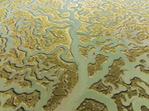 Bird Reserve Aerial Photography Drucke: Network of channels and streams at low tide