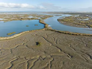 Low Tide Landscape Drucke: Network of channels and streams at low tide