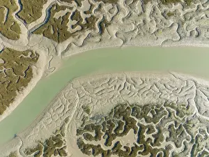 Low Tide In Cádiz Province Drucke: Network of channels and streams at low tide