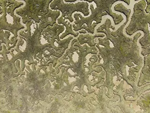Andalusia Landscape Drucke: Network of channels and streams at low tide