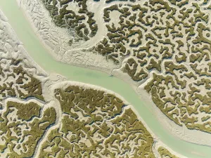 Drone Shot Cadiz Province Drucke: Network of channels and streams at low tide