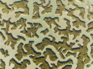 Wetland Biotope In Spain Drucke: Network of channels and streams at low tide