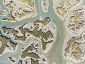 Network Of Channels And Streams Drucke: Network of channels and streams at low tide