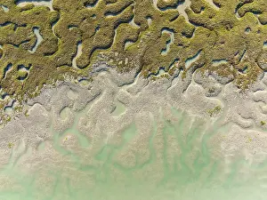Network Of Channels And Streams Drucke: Network of channels and streams at low tide