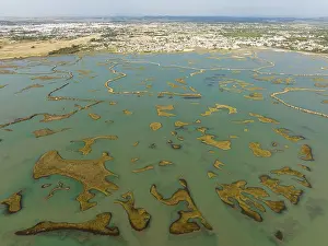 Nature Reserve Cadiz Province Spain Drucke: Network of channels and streams at low tide