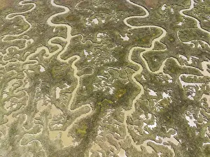 Top Down View Of River Meander Drucke: Network of channels and streams at low tide