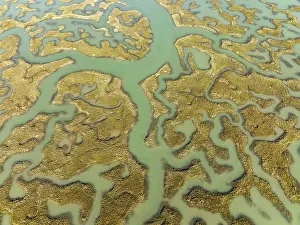 Drone Shot Cadiz Province Spain Drucke: Network of channels and streams at low tide