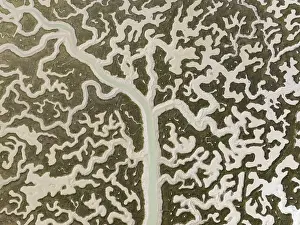 Netzwerk von Kanälen und Bächen bei Niedrigwasser in der Bahia de Cadiz Nature Reserve. Aerial view. Drohnenbild. Provinz Cádiz, Andalusien, Spanien