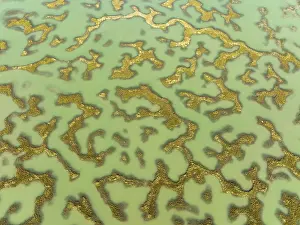 Aerial Landscape Photo With Drone Drucke: Network of channels and streams at low tide